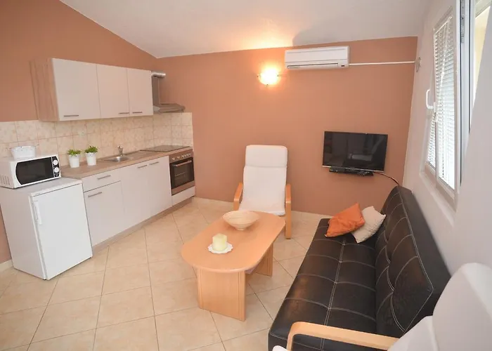 Salamun Biograd Na Moru